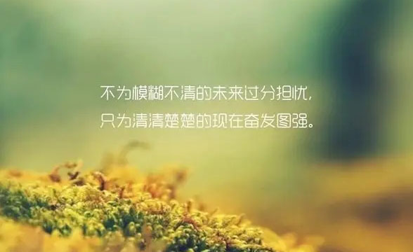 千岁大人求放过