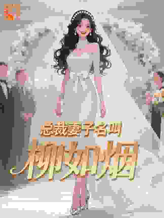 总裁妻子名叫柳如烟