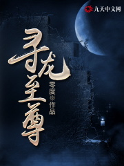 寻龙至尊