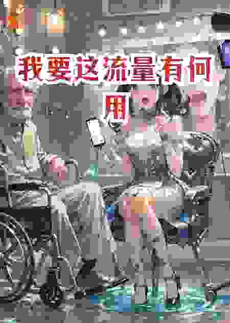 我要这流量有何用