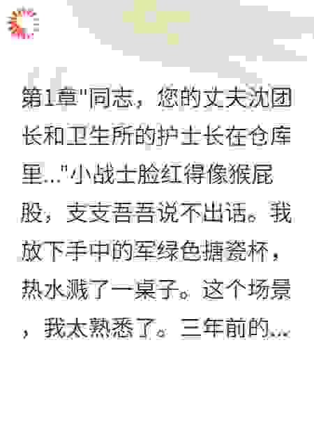 重生七零：我让出轨首长身败名裂