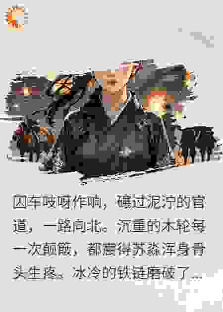 被退婚后，隔壁王爷替我搞内卷（11）