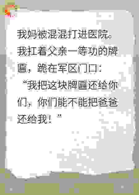 妈妈被凌辱，我把一等功还给国家
