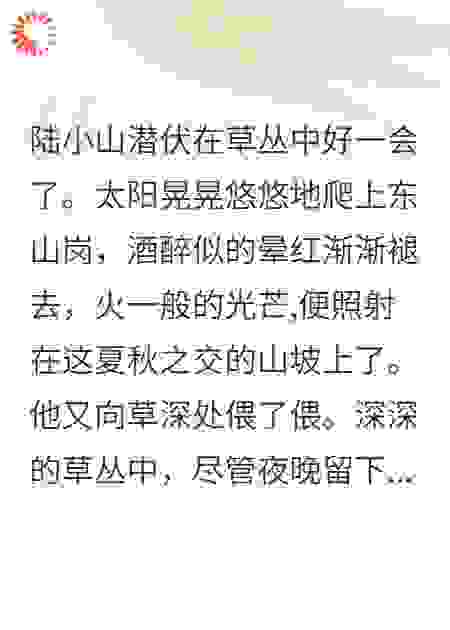 果园往事