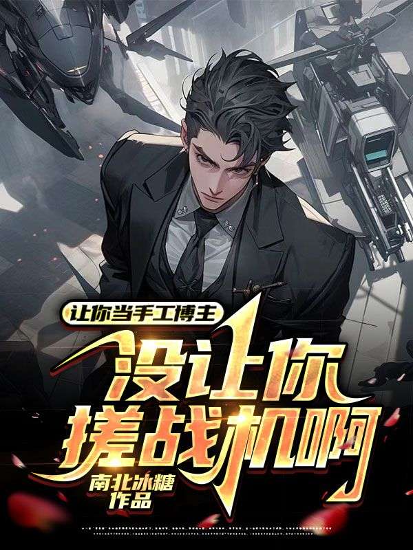 直播手搓战斗机，网友劝我自首