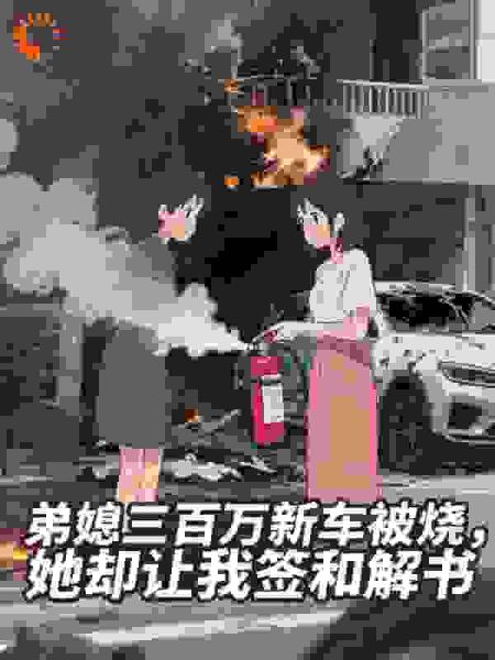 弟媳三百万新车被烧，她却让我签和解书