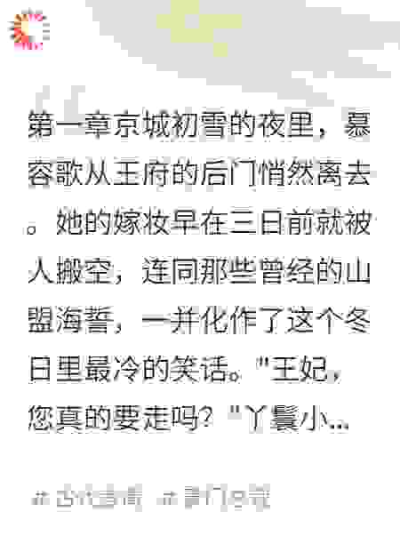 王爷追妻从学做饭开始