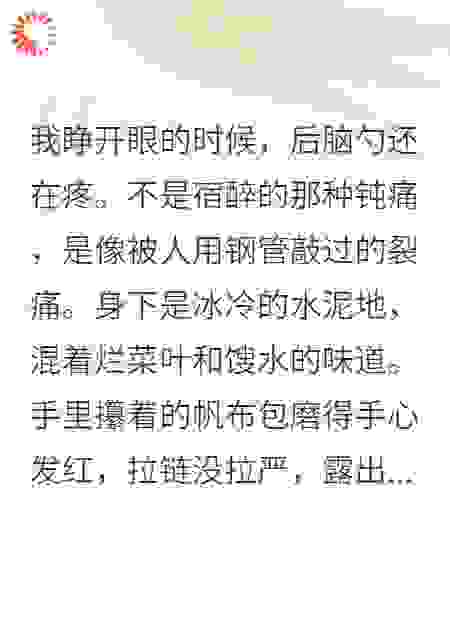 破产千金摆地摊，黑卡大佬跪求宠