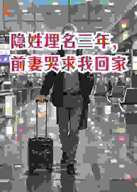 隐姓埋名三年，前妻哭求我回家