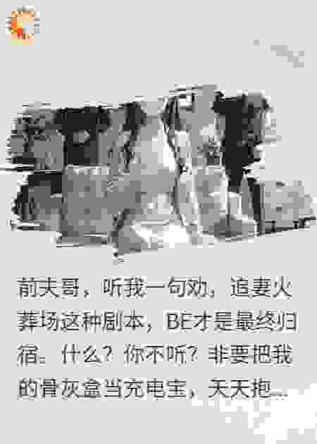 前夫别哭，我骨灰盒不给你充电